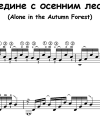 Sheet music, tabs for guitar. Alone With the Autumn Forest.