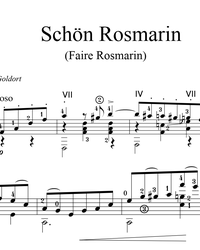 Ноты, табы для гитары. Schon Rosmarin (Faire Rosmarin).