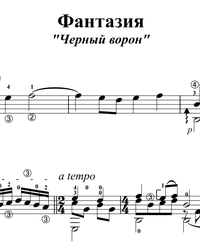 Sheet music, tabs for guitar. Black Raven.