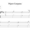 Pajaro Campana (Bellbird)