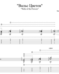 Sheet music, tabs for guitar. Waltz of the Flowers.