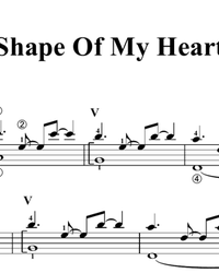 Ноты, табы для гитары. Shape of My Heart.