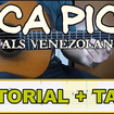 Venezuelan Waltz (Pica Pica Waltz) - Carlos Bonnet