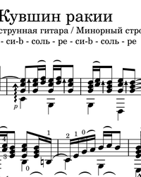 Sheet music, tabs for guitar. A Pitcher of Rakija.