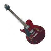 Greg Bennett RL2 Greg Bennett RL2