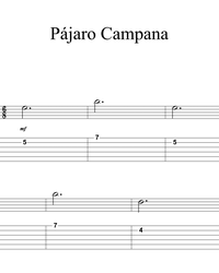 Ноты, табы для гитары. Парагвайская полька (Pajaro Campana).