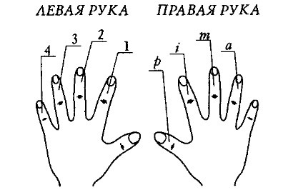 Схема пальцев руки