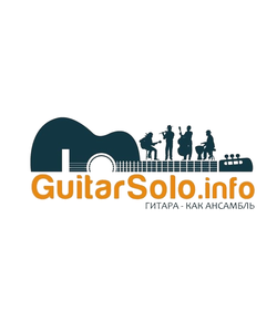 Guitarsolo, Guitarist