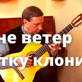 It's not the Wind that Tends the Branch - Russian folk song