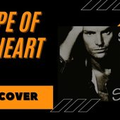 Shape of My Heart - Sting